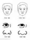 Fig. 19 - Automatic sketch generation