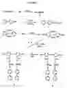 Fig. 12 - Waveplate and optical circuit formed using mesogen-containing polymer