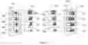 Fig. 08 - Digital composition of a mosaic motion picture