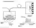 Fig. 07 - System for coherent optical communication