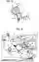 Fig. 10 - Image forming apparatus and process cartridge