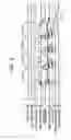 Fig. 05 - Image forming apparatus