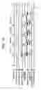 Fig. 22 - Image forming apparatus