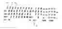 Fig. 01 - Computer keyboard easy read system attachments