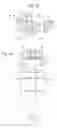 Fig. 06 - Quick release nut assembly for percussion instrument