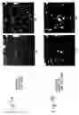 Fig. 09 - High strength aluminum alloy casting and method of production of same