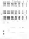 Fig. 09 - Array fabrication