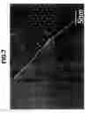 Fig. 08 - Carbon nanotube and process for producing the same