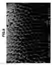 Fig. 09 - Carbon nanotube and process for producing the same