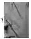 Fig. 10 - Carbon nanotube and process for producing the same