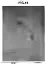 Fig. 19 - Carbon nanotube and process for producing the same