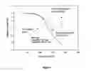Fig. 05 - Macroscopic fiber comprising single-wall carbon nanotubes and acrylonitrile-based polymer 
and process for making the same