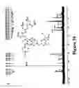 Fig. 35 - Mechanism-based targeted pancreatic beta cell imaging and therapy
