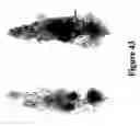 Fig. 44 - Mechanism-based targeted pancreatic beta cell imaging and therapy