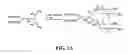 Fig. 04 - Compounds for delivering substances into cells