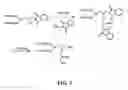 Fig. 09 - Compounds for delivering substances into cells