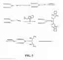 Fig. 13 - Compounds for delivering substances into cells