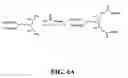 Fig. 14 - Compounds for delivering substances into cells