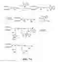 Fig. 16 - Compounds for delivering substances into cells