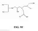 Fig. 25 - Compounds for delivering substances into cells