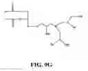 Fig. 26 - Compounds for delivering substances into cells