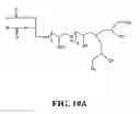 Fig. 27 - Compounds for delivering substances into cells