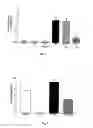 Fig. 04 - Probiotic therapies