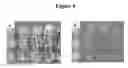 Fig. 05 - Cytotoxicity mediation of cells evidencing surface expression of CD44