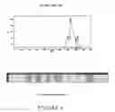 Fig. 05 - Multivalent carriers of bi-specific antibodies
