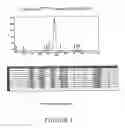 Fig. 06 - Multivalent carriers of bi-specific antibodies