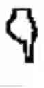 Fig. 902 - Multivalent carriers of bi-specific antibodies