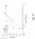 Fig. 29 - Methods of use of antibodies with reduced immunogenicity or toxicity