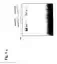 Fig. 09 - Sphingosine kinase interacts with traf2 and modulates tumor necrosis factor-induced cellular activity