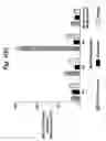 Fig. 03 - Homing peptides