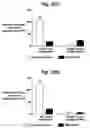Fig. 07 - Homing peptides