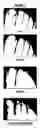Fig. 08 - Use of topical compositions for the control of microbial diseases of the nail