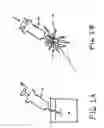 Fig. 02 - Anemone killing mixture and method for aquariums