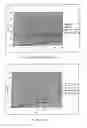 Fig. 06 - Transdermal device for administering testosterone or one of the derivatives thereof
