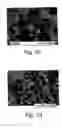 Fig. 03 - Methods for micronization of hydrophobic drugs