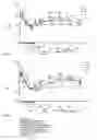 Fig. 04 - Process for controlling water and electrolyte balance and acid-base equilibrium in human body