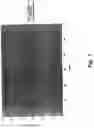 Fig. 02 - Coated chewing gum comprising an active substance having local activity