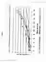 Fig. 04 - Microbiological control in poultry processing