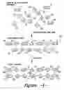 Fig. 02 - Textile products and silicone-based copolymeric coating compositions for textile products