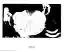 Fig. 07 - Potters decorating tool