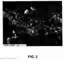 Fig. 03 - Aerogel/PTFE composite insulating material