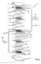 Fig. 02 - Novel electrical contact element for a fuel cell