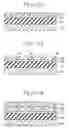 Fig. 13 - Method for forming pattern