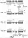 Fig. 06 - Stencil mask and method of producing the same