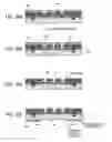Fig. 06 - Stencil mask and method of producing the same