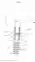 Fig. 05 - Dental implant system